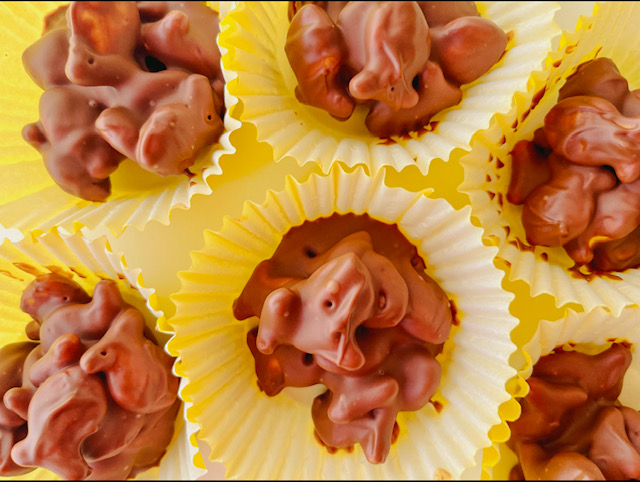Chocolate covered goldfish